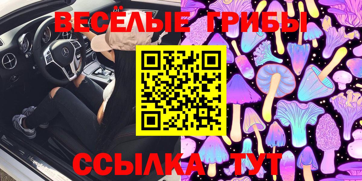 Узловая  Галлюциногенные грибы мицелий  Вход с VPN 